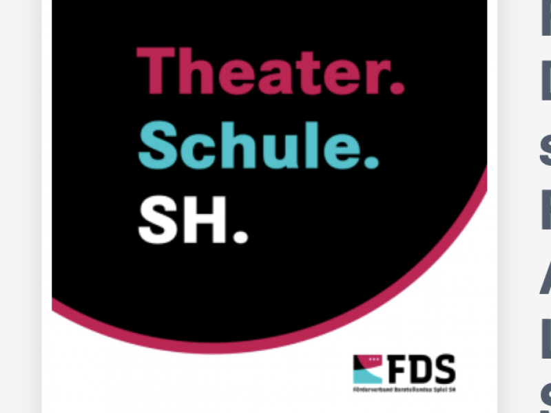 🎧 Podcast-Tipp: DS-Studium in Flensburg