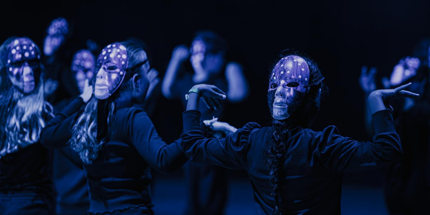 HBK Rezension – Die verwandelten Elfen – Symbolbild