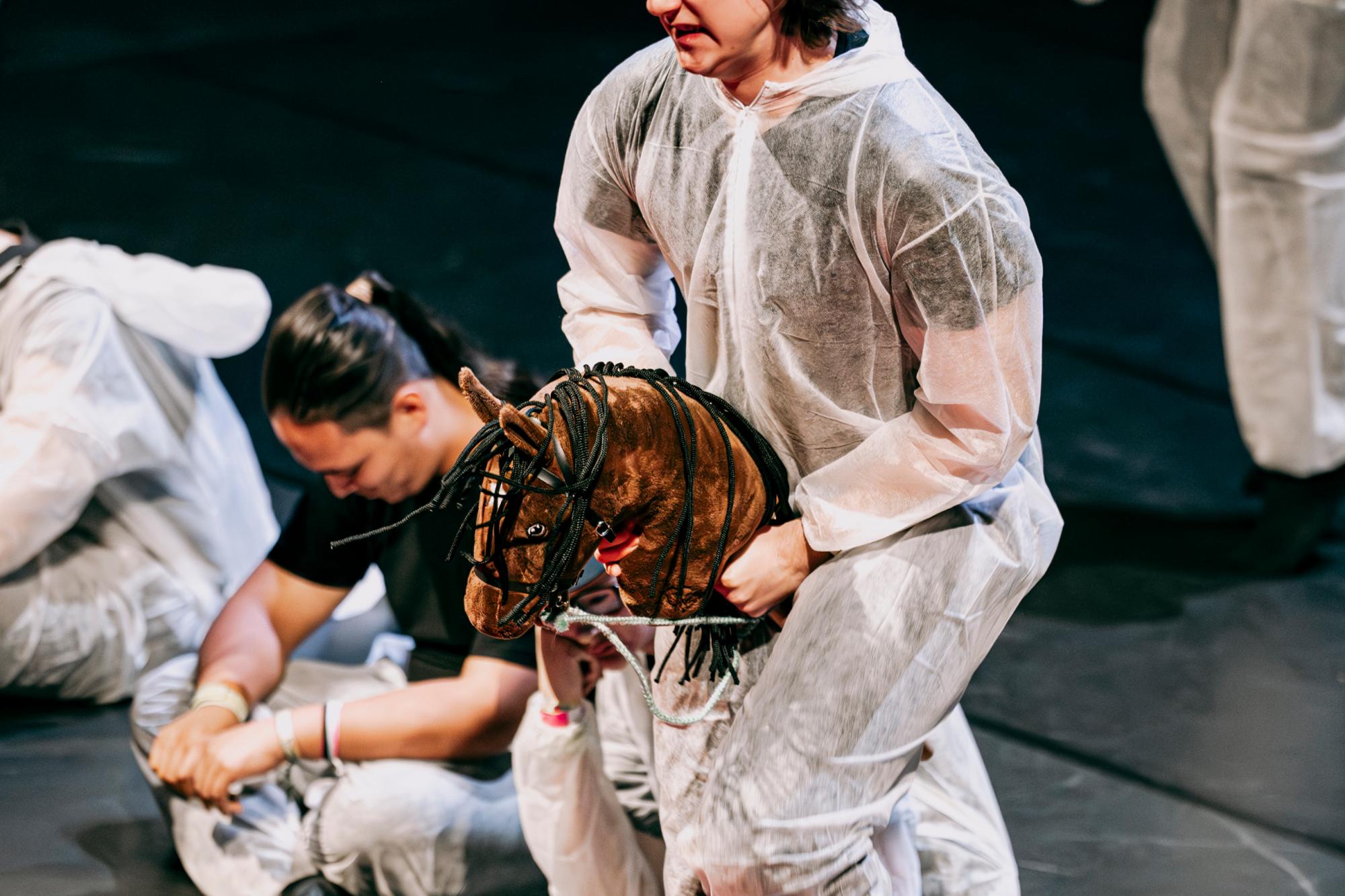 schnelles Hobby Horsing.